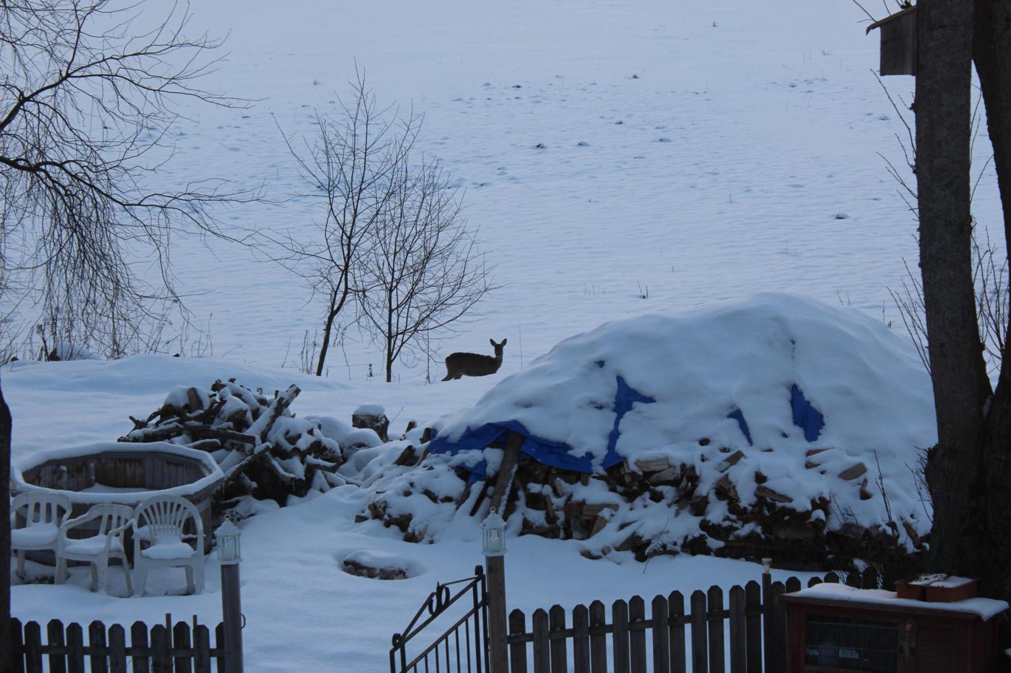 Bed and Breakfast Affaeren Ma Bra Sunne Exterior foto